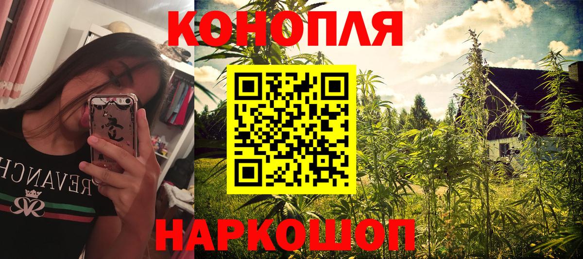 Бошки Шишки план Электросталь